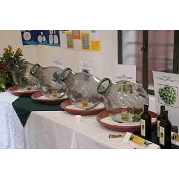 Allestimento alla presentazione di "Olio e dintorni". (Udine 18/05/11)