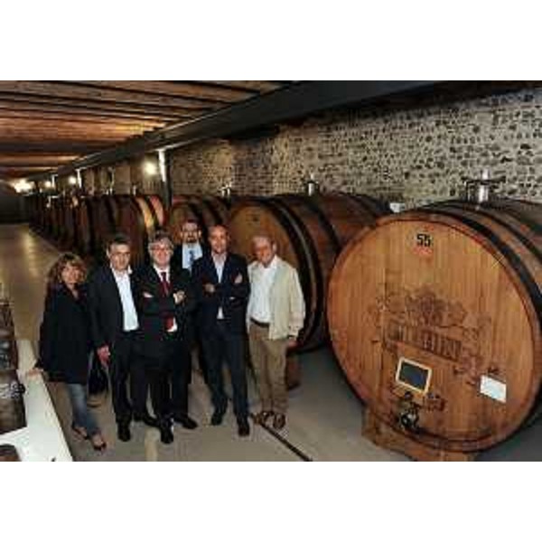 M.Gasparutti (Capo segreteria Tondo), A.Colautti (Consigliere regionale), R.Tondo (Presidente Friuli Venezia Giulia), G.Carbonara (Portavoce Tondo), con Roberto e Fernando Pighin, visitano la Tenuta di Risano dell'azienda Pighin. (Pavia di Udine 06/06/11)