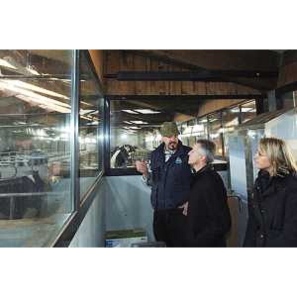 Riccardo Illy (Presidente Regione Friuli Venezia Giulia) ritratto durante la visita all'azienda "Carniagricola" di Enemonzo. (Enemonzo 15/12/06)
