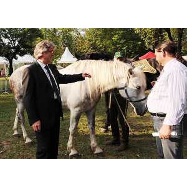 Renzo Tondo (Presidente Friuli Venezia Giulia) all'inaugurazione di Allevacavalli. (Villanova di San Daniele del Friuli 02/09/11)