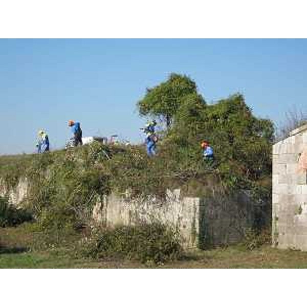 Volontari della Protezione civile del FVG al lavoro tra i fossi e i bastioni che circondano la Città stellata nel corso della grande esercitazione di protezione civile "PalmaNOVA 2011". (Palmanova 12/11/11)
