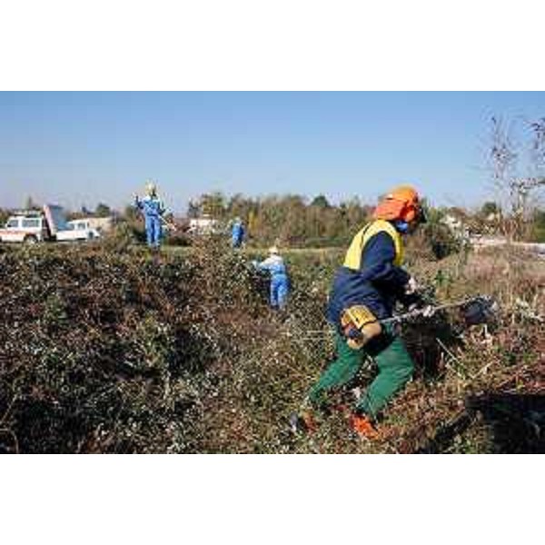 Volontari della Protezione civile del FVG al lavoro tra i fossi e i bastioni che circondano la Città stellata nel corso della grande esercitazione di protezione civile "PalmaNOVA 2011". (Palmanova 12/11/11)