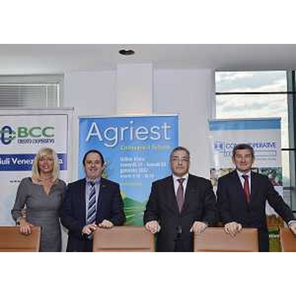 Luisa De Marco (Presidente Udine e Gorizia Fiere), Claudio Violino (Assessore regionale Risorse rurali, agroalimentari e forestali), Giuseppe Graffi Brunoro (Presidente Federazione BCC FVG) e Nicola Galuà (Direttore generale Confcooperative FVG) alla conferenza stampa di presentazione della quarantasettesima edizione di Agriest. (Udine 18/01/12)