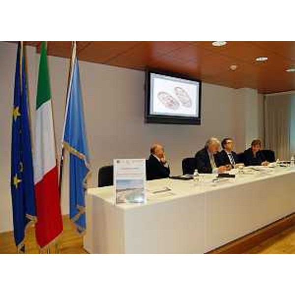 Giangiacomo Martines (Direttore Beni culturali e paesaggistici FVG), Elio De Anna (Assessore regionale Cultura), Augusto Viola (Direttore centrale Cultura, Sport, Relazioni internazionali e comunitarie) e Franca Merluzzi (Direttrice Centro Catalogazione Villa Manin) alla presentazione del volume "I beni culturali della Regione Friuli Venezia Giulia". (Udine 20/04/12)