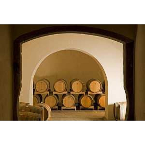 Cantina di Villa Russiz. (Capriva del Friuli)
