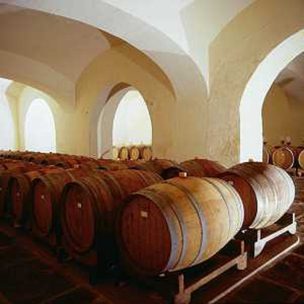 Cantina di Villa Russiz. (Capriva del Friuli)