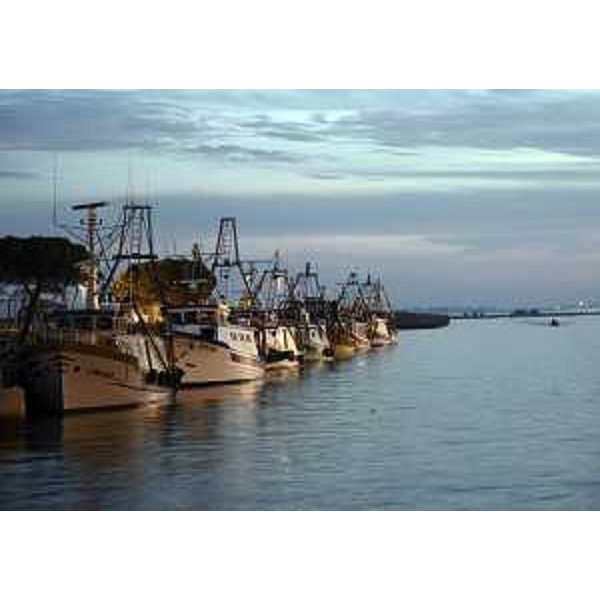 Pescherecci all'ormeggio. (Marano Lagunare 08/11/12)