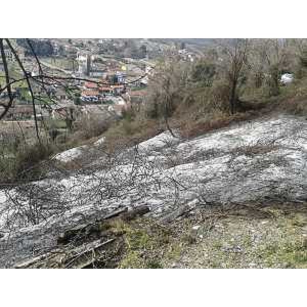 L'area in cui è stato spento l'incendio boschivo in Località Coja. (Tarcento 05/03/13)