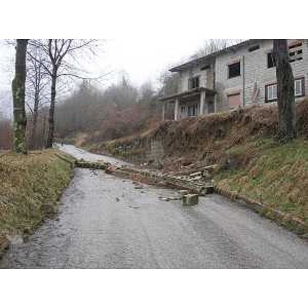 Rilievo della Stazione forestale di Cividale del Friuli della caduta di un muretto di contenimento sulla strada comunale Masarolis-Tamoris. (11/03/13)