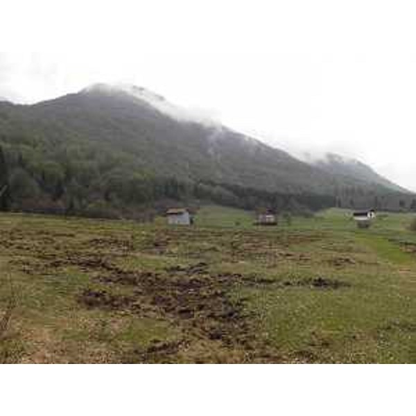 Terreno "dissodato" da cinghiali - Foto CFR-Corpo Forestale Regionale. (06/05/13)