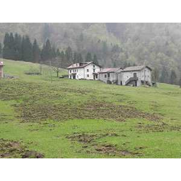 Terreno "dissodato" da cinghiali - Foto CFR-Corpo Forestale Regionale. (06/05/13)