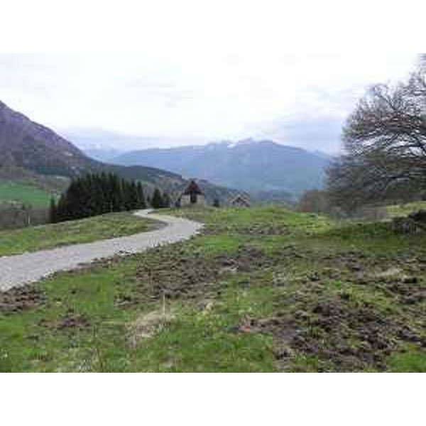 Terreno "dissodato" da cinghiali - Foto CFR-Corpo Forestale Regionale. (06/05/13)