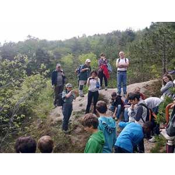 L'escursione dei ragazzi delle terze medie di Casarsa della Delizia sul Col Major, accompagnati da forestali delle Stazioni di Maniago e Pinzano al Tagliamento, e da insegnanti. Foto CFR-Corpo Forestale Regionale. (Maggio 2013)
