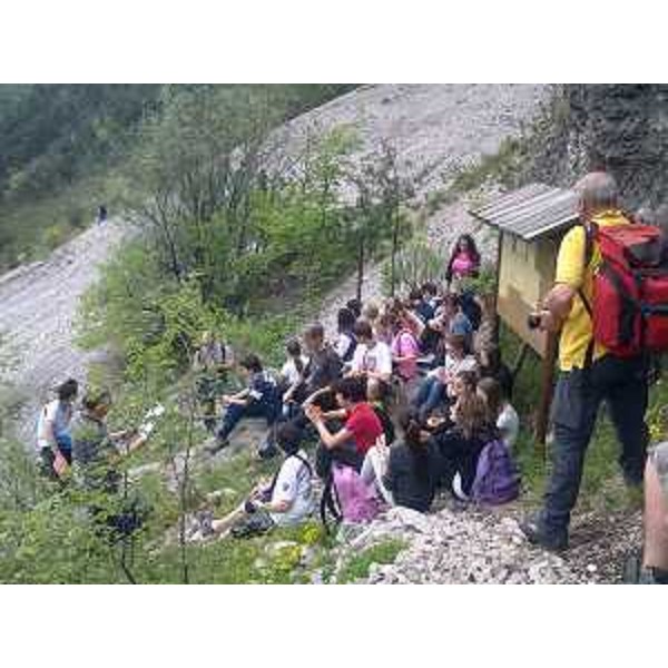 L'escursione dei ragazzi delle terze medie di Casarsa della Delizia sul Col Major, accompagnati da forestali delle Stazioni di Maniago e Pinzano al Tagliamento, e da insegnanti. Foto CFR-Corpo Forestale Regionale. (Maggio 2013)