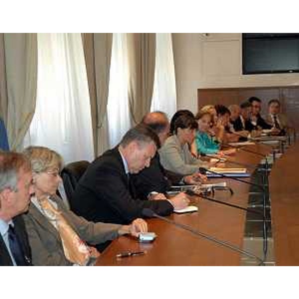 Incontro sulla Ferriera di Servola (TS). (Trieste, 08/08/13)