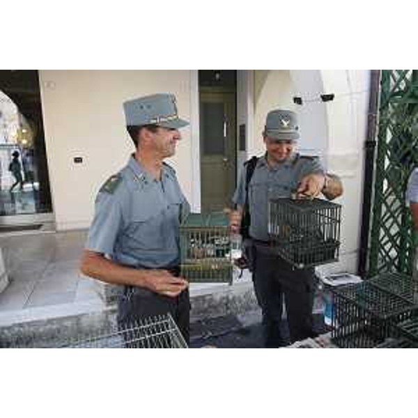 Personale del CFR-Corpo Forestale Regionale durante le verifiche del rispetto delle normative vigenti in materia di allevamento, detenzione, trasporto e commercio di animali alla Sagra dei Osei 2013, settecentoquarantesima edizione. (Sacile 18/08/13)