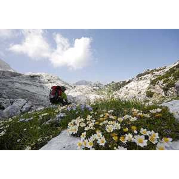 Escursionista sul Sentiero geologico del "Foran dal Mus" sul Monte Canin, nel Parco naturale regionale delle Prealpi Giulie. Foto CFR-Corpo Forestale Regionale (Di Lenardo)