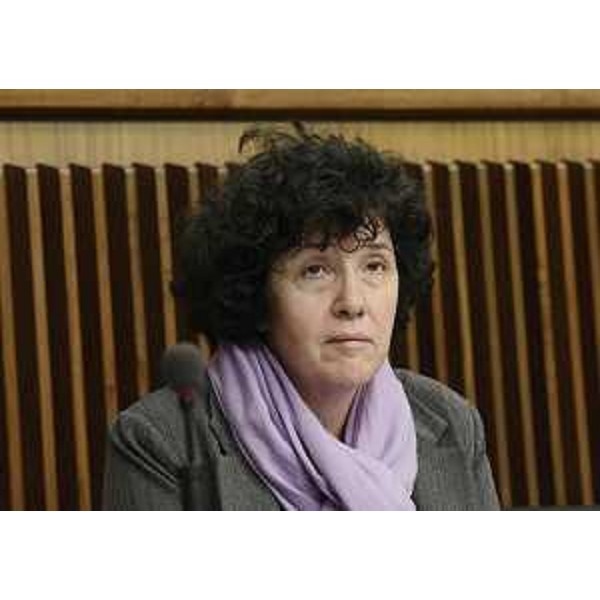 Loredana Panariti (Assessore regionale Lavoro, Formazione, Istruzione, Pari Opportunità, Politiche giovanili e Ricerca) durante i lavori del Consiglio regionale. (Trieste 19/11/13)