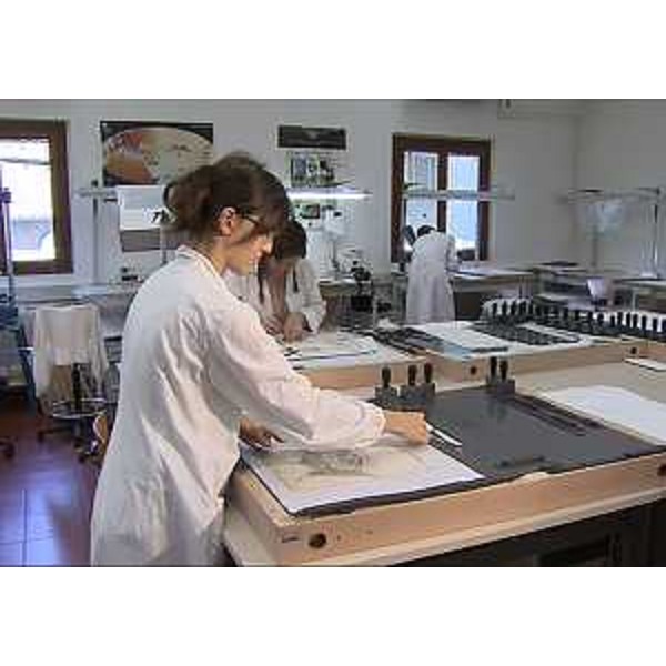 Specialista all'opera su un'antica mappa tavolare alla Scuola regionale per la Conservazione ed il Restauro dei Beni culturali di Villa Manin (Codroipo)