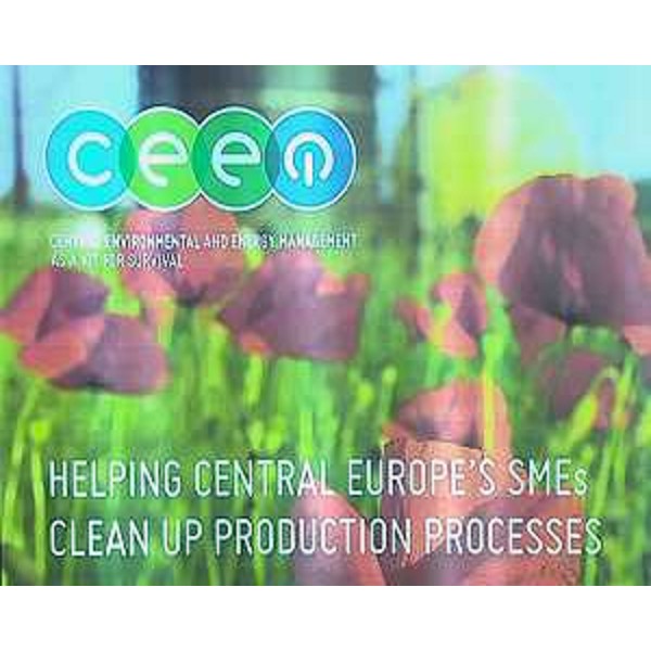 Presentazione del Progetto CEEM-Central Environmental and Energy Management as a kit for survival - Udine 29/11/2013