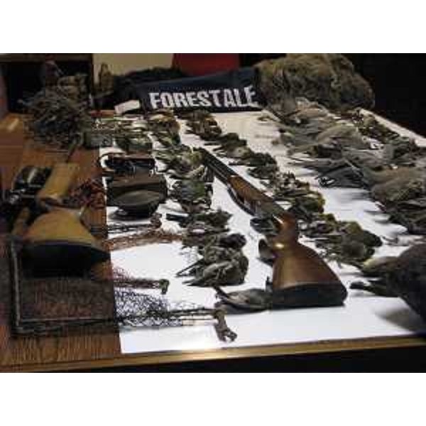 Materiale sequestrato nelle operazioni di contrasto ai reati inerenti la tutela della fauna e del suo commercio illegale - 02/01/2014