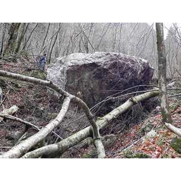 Uno dei grandi massi franati sul versante Sud del monte Monfredda nei territori comunali di Ampezzo e Socchieve - 29/12/2013
