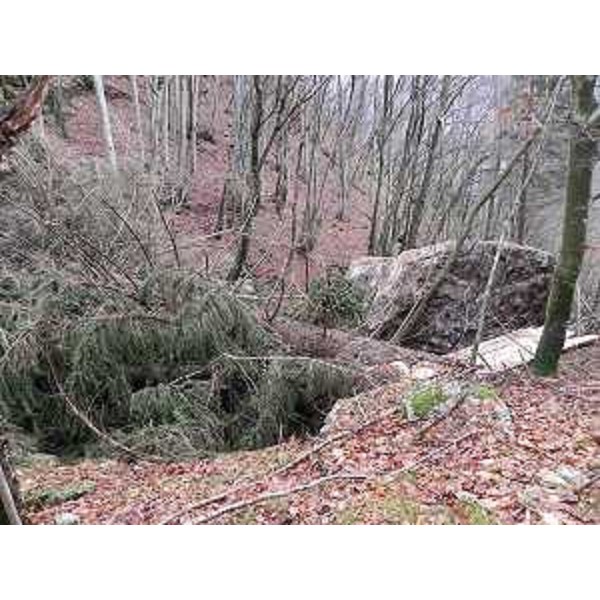 Uno dei grandi massi franati sul versante Sud del monte Monfredda nei territori comunali di Ampezzo e Socchieve - 29/12/2013