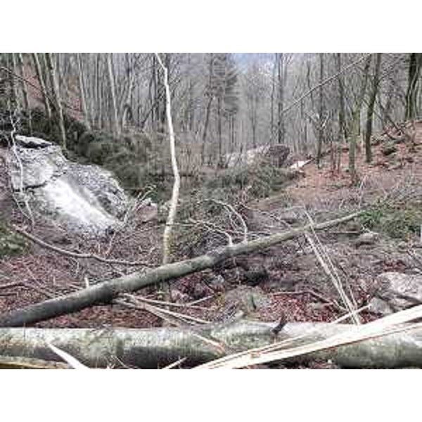 Uno dei grandi massi franati sul versante Sud del monte Monfredda nei territori comunali di Ampezzo e Socchieve - 29/12/2013