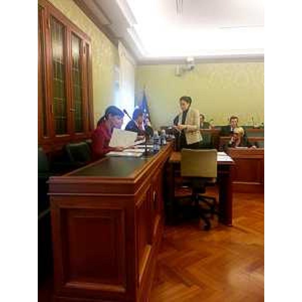 Debora Serracchiani (Presidente Friuli Venezia Giulia) durante l'audizione in Senato sul caso Electrolux - Roma 05/02/2014