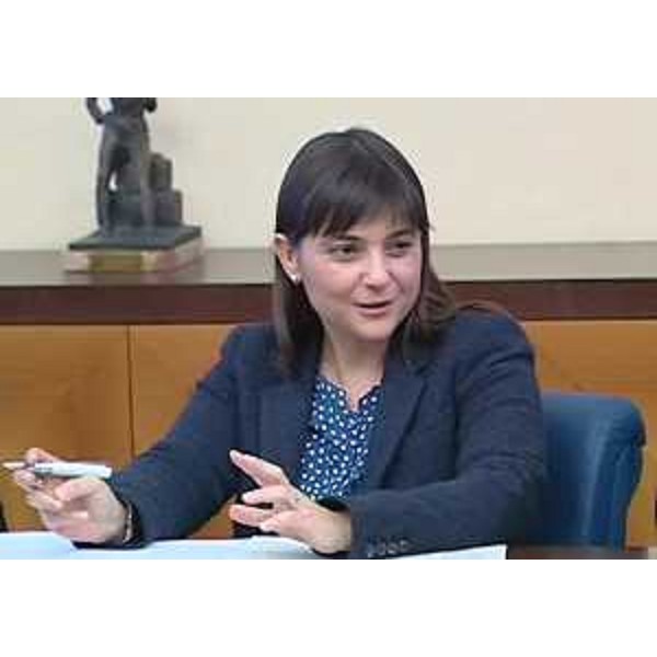 Debora Serracchiani (Presidente Friuli Venezia Giulia) incontra i sindaci della provincia di Gorizia, nella sede della CCIAA - Gorizia 03/03/2014