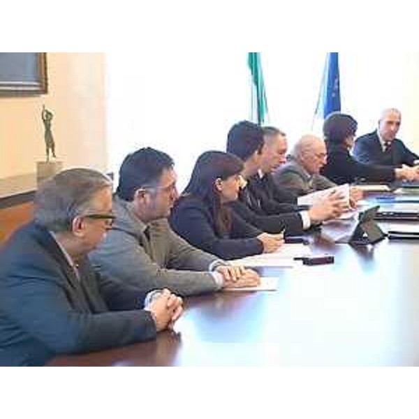 Debora Serracchiani (Presidente Friuli Venezia Giulia) incontra il Consiglio della Camera di Commercio - Gorizia 03/03/2014
