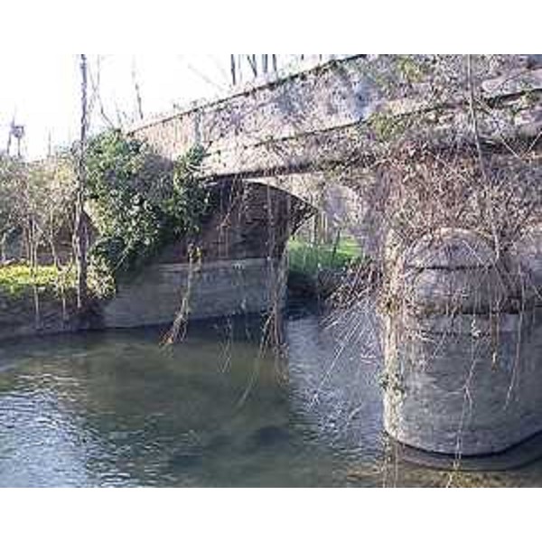 Corso del fiume Ledra - Buja 14/03/2014