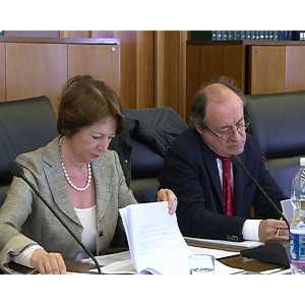 Cristiana Compagno (Presidente Banca Mediocredito FVG), durante l'audizione sulla situazione di Banca Mediocredito FVG, in Consiglio regionale - Trieste 16/04/2014