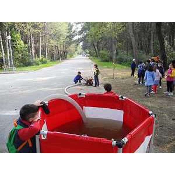 Esercitazione di antincendio boschivo nella pineta Ge.Tur., con forestali, Protezione civile e alunni delle quarte e quinte della scuola primaria - Lignano Sabbiadoro 04/2014