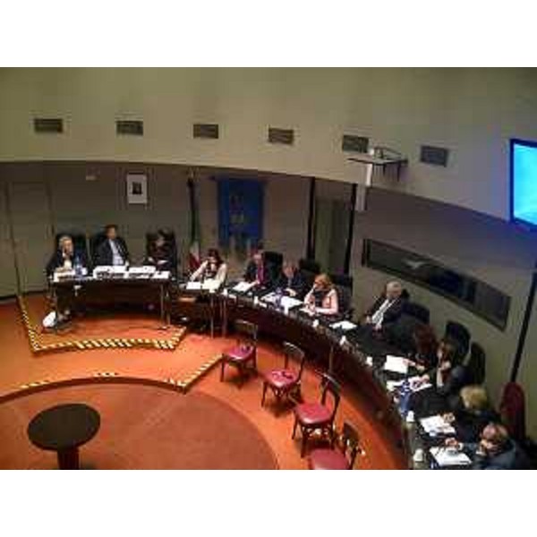 Maria Sandra Telesca (Assessore regionale Salute) in audizione in Consiglio provinciale - Trieste 15/05/2014