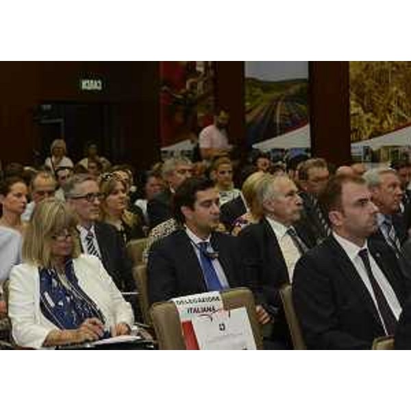 Forum economico "Il Friuli Venezia Giulia incontra la Serbia. Opportunità di investimento e crescita" alla Camera di Commercio della Serbia - Belgrado 09/07/2014