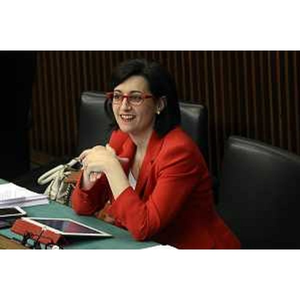 Sara Vito (Assessore regionale Ambiente ed Energia) nell'Aula del Consiglio regionale - Trieste 29/07/2014