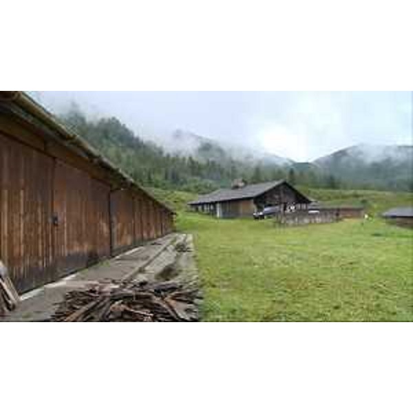 Malga carnica - 20/08/2014