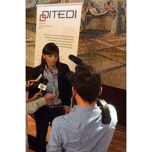 Debora Serracchiani (Presidente Regione Friuli Venezia Giulia) alla presentazione del nuovo portale del Distretto delle Tecnologie Digitali (DITEDI), alla CCIAA - Udine 15/09/2014