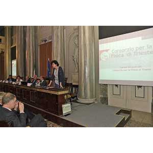 Loredana Panariti (Assessore regionale Istruzione e Ricerca) interviene alla celebrazione dei 50 anni del Consorzio per la Fisica, nella Sala Maggiore della Camera di Commercio - Trieste 19/09/2014