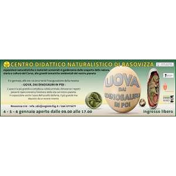 Cartellone della mostra "Uova ... dai dinosauri in poi" allestita nel Centro Didattico Naturalistico (CDN) della Regione Friuli Venezia Giulia a Basovizza (Trieste)