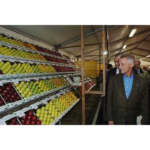 Riccardo Illy (Presidente Regione Friuli Venezia Giulia) nel corso dell'inaugurazione della 38a "Mostra della mela" organizzata dalla Pro Loco e dal Comune di Mereto di Tomba. (Mereto di Tomba 28/09/07)