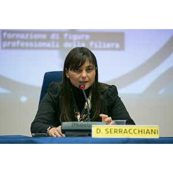 Debora Serracchiani (Presidente Regione Friuli Venezia Giulia) interviene agli Stati generali della Montagna, nell'Auditorium della Regione FVG - Udine 06/02/2015