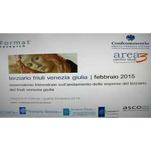 Presentazione del Rapporto di Ricerca del IV trimestre 2014 sull'andamento del terziario del FVG, di Confcommercio FVG - Udine 12/02/2015