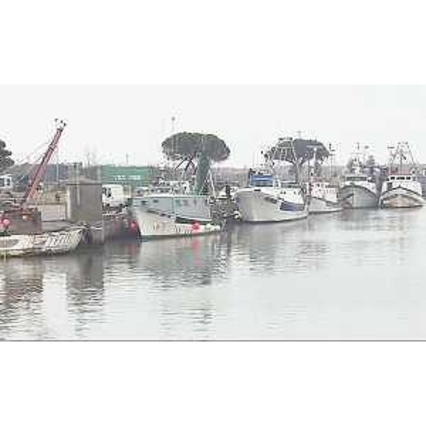 Marano Lagunare 21/02/2015