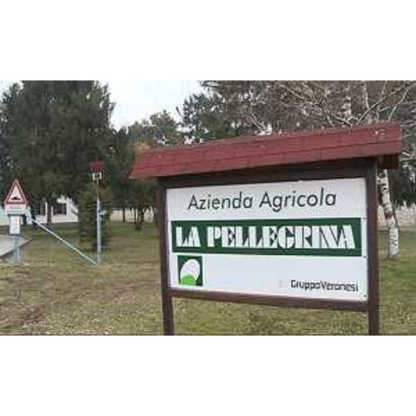 L'Azienda agricola La Pellegrina del Gruppo Veronesi - San Quirino di Pordenone 21/02/2015