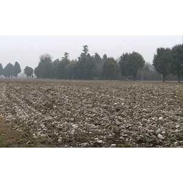 L'Azienda agricola La Pellegrina del Gruppo Veronesi - San Quirino di Pordenone 21/02/2015