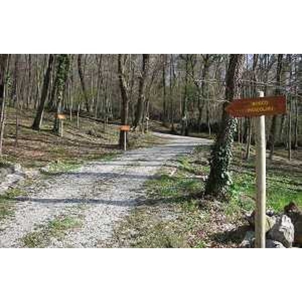 Percorso naturalistico del Bosco Pascolon, presso il Vivaio Pascolon gestito dalla Regione Friuli Venezia Giulia - Maniago 04/03/2015