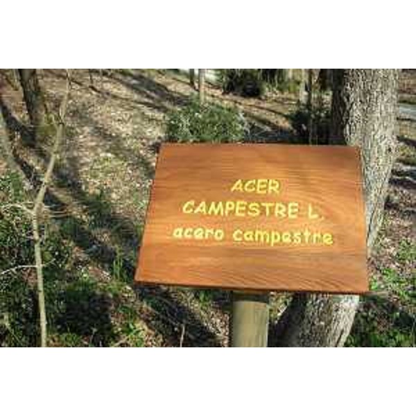 Percorso naturalistico del Bosco Pascolon, presso il Vivaio Pascolon gestito dalla Regione Friuli Venezia Giulia - Maniago 04/03/2015