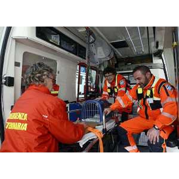 L'unità di emergenza veterinaria dell'Associazione "Mi Fido di te" - Pordenone 23/03/2015